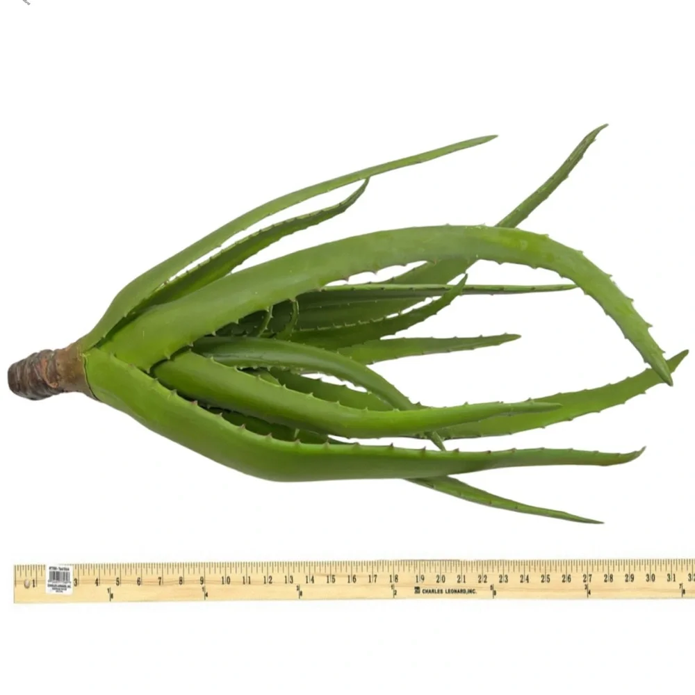 Faux‎ Aloe Vera Plant Tropical Succulent Indoor Decor 30” Tall